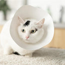 Pidan Cat E-collar -5 pcs