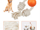 Laroo Ball on Rope Pet Toy