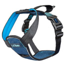 Carsafe Crash Tested Harness Blue