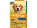 Advocate Dog Bayer over 25KG