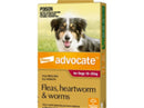 Advocate Dog Bayer 10-25KG