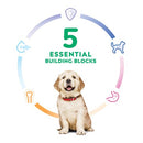 Hills Puppy Large Breed